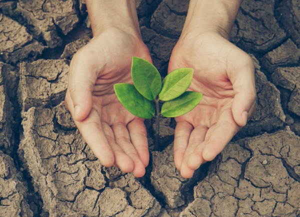 Sürdürülebilir Tarımın Umut Veren Yüzü Agritech ve Foodtech Girişimleri Yakın Mercek Altında