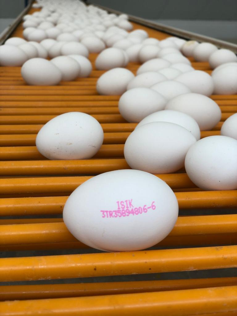 Dünya Yumurta Günü'nü Paylaşarak Kutladılar
