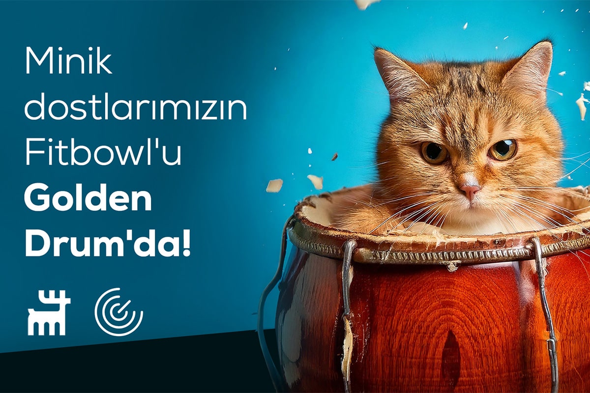 Golden Drum Awards’tan Karaca Home’a İki Ödül